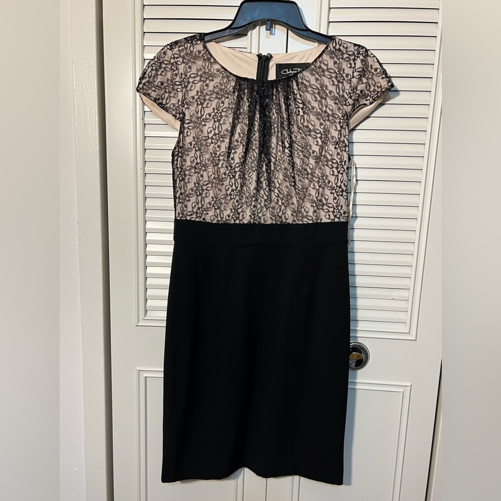 Chelsi rose cocktail dress, elegant, size 6